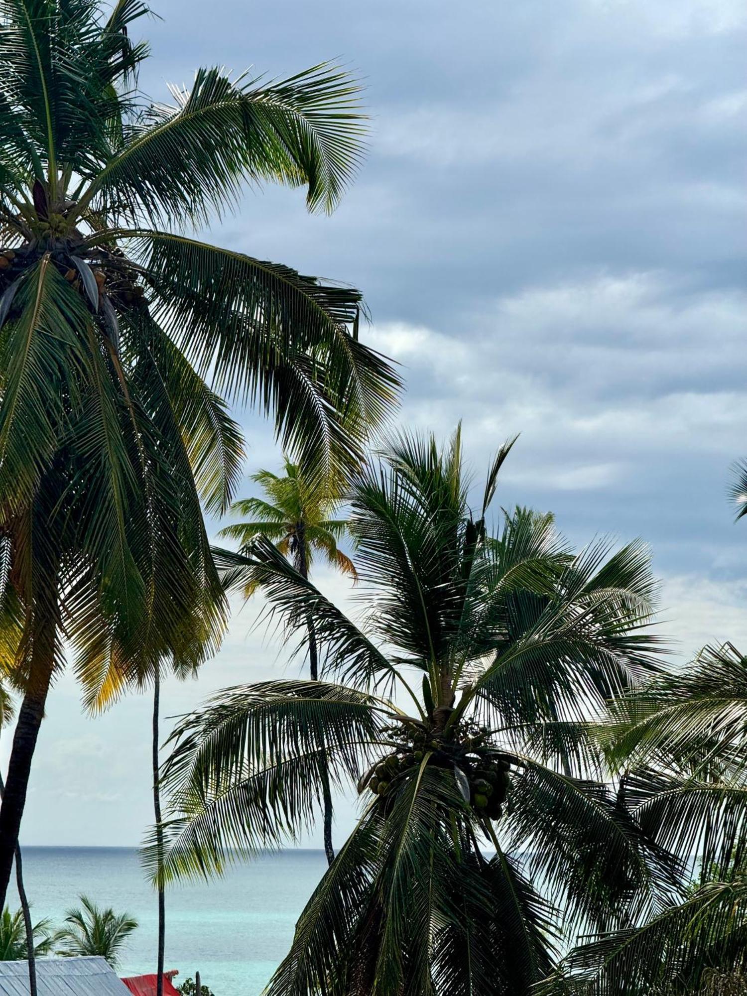 Rafiki Hotel Nungwi Beach Exterior photo